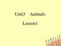 人教版新起点英语一年级上册《Unit 3 Animals lesson 1》集体备课PPT课件4