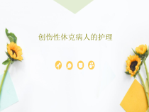 创伤性休克病人的护理共30页课件