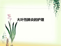 大叶性肺炎的护理ppt课件