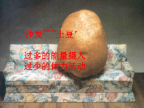 代谢综合征的护理课件