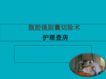 胆囊结石护理查房ppt课件