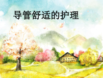 导管舒适的护理详解课件