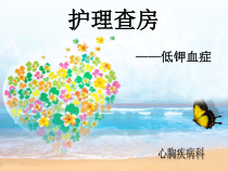 低钾血症的护理查房ppt课件
