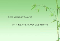 第五章泌尿系统疾病病人的护理ppt课件