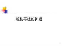 断指再植的护理-PPT课件