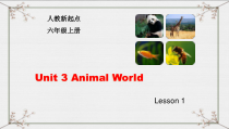 人教版新起点英语六年级上册《Unit 3 Animal World lesson 1》集体备课PPT课件2(1)
