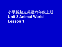 人教版新起点英语六年级上册《Unit 3 Animal World lesson 1》精品PPT课件3