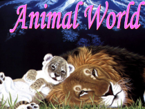 人教版新起点英语六年级上册《Unit 3 Animal World lesson 2》PPT课件3
