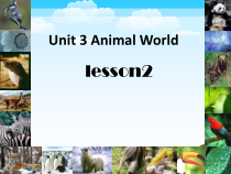 人教版新起点英语六年级上册《Unit 3 Animal World lesson 2》集体备课PPT课件2(1)