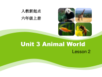 人教版新起点英语六年级上册《Unit 3 Animal World lesson 2》公开课PPT课件1