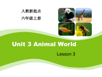 人教版新起点英语六年级上册《Unit 3 Animal World lesson 3》公开课PPT课件3