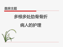 多根多处肋骨骨折护理问题及措施ppt课件