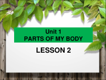 清华版英语一年级上册《Unit 1 PARTS OF MY BODY LESSON 2》PPT课件 (共15页)
