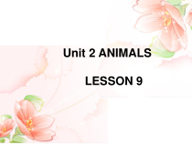 清华版英语一年级上册《Unit 2 ANIMALS LESSON 9》PPT课件 (共13页)