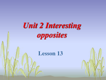 清华版英语三年级下册《unit 2 interesting opposites lesson 13》PPT课件2 (共17页)