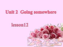 清华版英语四年级下册《Unit 2 Going somewhere Lesson 12》PPT课件2 (共21页)