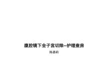 腹腔镜下全宫切--护理查房-PPT课件