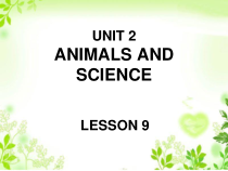清华版英语六年级上册《UNIT 2 ANIMALS AND SCIENCE LESSON》课件+音频素材