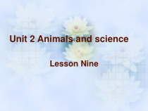清华版英语六年级上册《Unit 2 Animals and science  Lesson》课件6份