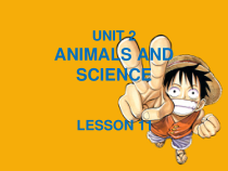 清华版英语六年级上册《UNIT 2 ANIMALS AND SCIENCE LESSON 11课件2 (共18页)