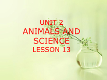 清华版英语六年级上册《UNIT 2 ANIMALS AND SCIENCE LESSON 13》PPT课件2 (共15页)
