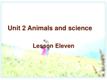 清华版英语六年级上册《Unit 2 Animals and science  Lesson 11课件 (共21页)