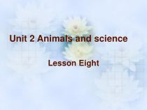 清华版英语六年级上册《Unit 2 Animals and science  Lesson 8》PPT课件 (共23页)