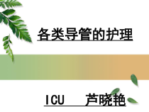 各类导管护理课件