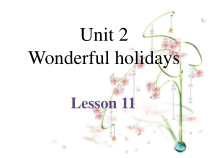清华版英语六年级下册《unit 2 wonderful holidays lesson 11》PPT课件