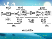 呼吸困难患者的紧急护理课件