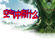 四年级上册科学课件-1.3空气中有什么苏教版共30张PPT