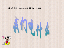 四年级上册科学课件-4.1我们吃什么苏教版共23张PPT