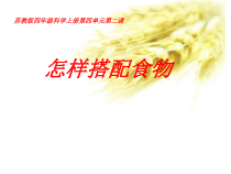 四年级上册科学课件-4.2怎样搭配食物苏教版共15张PPT1