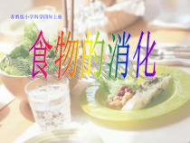 四年级上册科学课件-4.3食物的消化苏教版共8张PPT