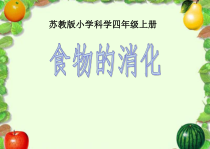 四年级上册科学课件-4.3食物的消化苏教版共10张PPT1