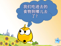 四年级上册科学课件-4.3食物的消化苏教版共13张PPT1