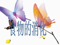 四年级上册科学课件-4.3食物的消化苏教版共13张PPT2