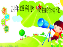 四年级上册科学课件-4.3食物的消化苏教版共30张PPT