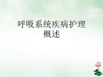 呼吸系统疾病护理概述ppt课件