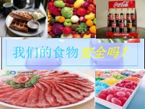 四年级上册科学课件-4.4我们的食物安全吗苏教版共28张PPT