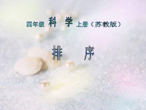 四年级上册科学课件5.1排序苏教版共22张PPT
