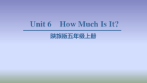 陕旅版英语五年级上册《Unit 6 How much is it Part A》精品PPT课件05