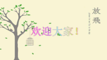 护理风险与安全评估-PPT课件