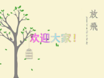 护理服务标准-PPT课件