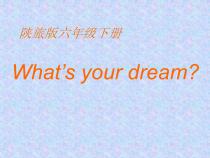 陕旅版英语六年级下册《Unit 8  What's your dream Part B》精品PPT课件04