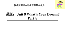 陕旅版英语六年级下册《Unit 8 What’s Your Dream Part B》精品PPT课件06