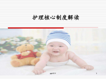护理核心制度解读--ppt课件