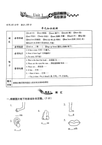 陕旅版英语三年级下册《Unit 1 My Body》知识梳理与考点测评卷（PDF版含答案）