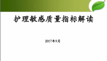 护理敏感指标解读-PPT课件