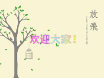 护理实习安全-PPT课件